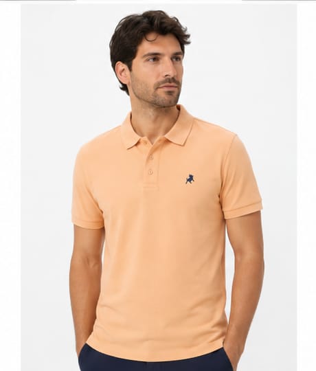 POLO FLIP